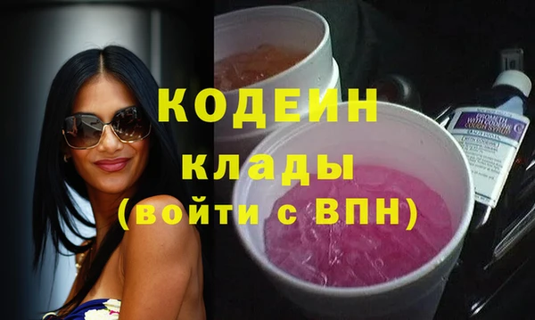 дживик Бронницы