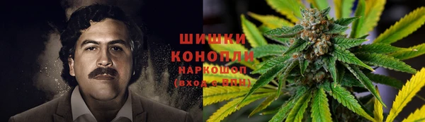дживик Бронницы
