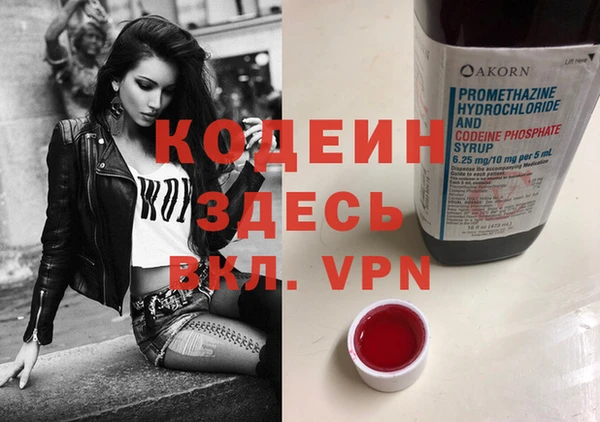 дживик Бронницы