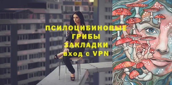 экстази Бородино