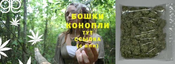 экстази Бородино