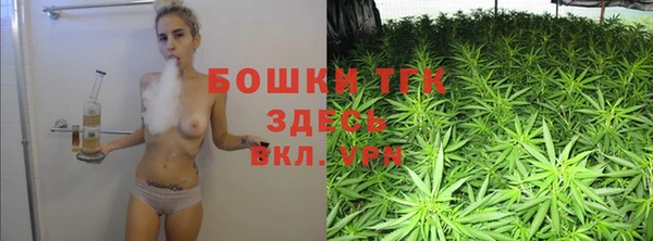 дживик Бронницы