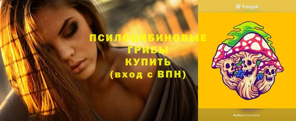 дживик Бронницы