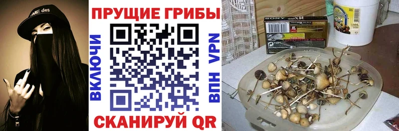 Галлюциногенные грибы MAGIC MUSHROOMS  Жуковский 